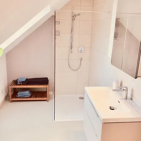 Moorblick! Grosse Dachwohnung Mit Kamin Und Sauna