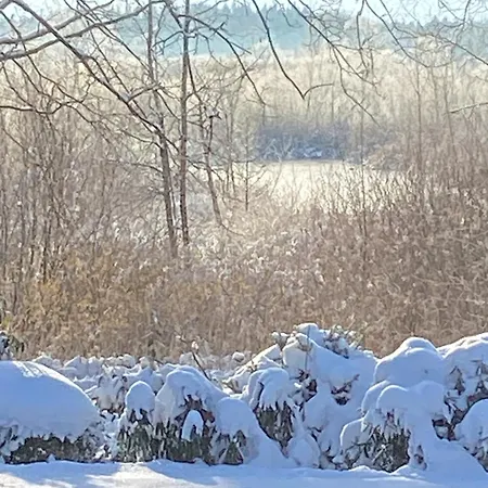 Moorblick! Grosse Dachwohnung Mit Kamin Und Sauna Leck