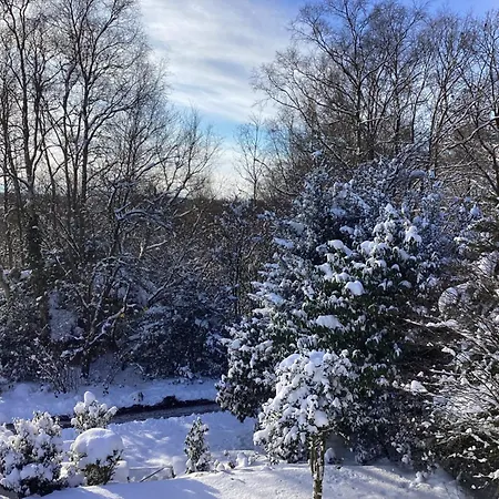 Lejlighed Moorblick! Grosse Dachwohnung Mit Kamin Und Sauna *